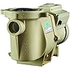 Amazon.com : Hayward SP2302VSP Max-Flo VS Variable-Speed