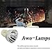 AWO Original P-VIP240W Lamp Bulb for 5J.J7L05.001/5J.JEE05.001/5J.J9H05.001/5J.J9E05.001/5J.J6E05.001 for BenQ W1070,W1080ST,HT1075,HT1085ST,W1070+,W1080ST+,i700,W1500,MX662,MX720,HT2050,HT3050,W2000+