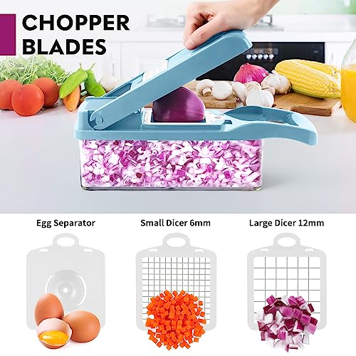 Vegetable Chopper, Pro Onion Chopper, Multifunctional 13 In 1 Food