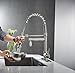 BWE Brushed Nickel Kitchen Sink Faucet Pull Out Down Sprayer Mixer Taps Bar Sink Faucets