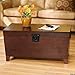 Southern Enterprises Pyramid Storage Trunk Cocktail Table, Espresso Finish