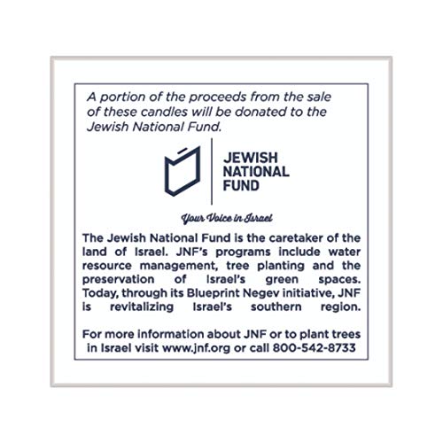 Rite Lite Premium Chanukah Candles Pack of 45 Hanukkah Candles for