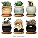 FairyLavie 2.5 Inch Ceramic Succulent Plant Pot, Rustic Style Cute Little Pots for Plants, Planter with Bamboo Tray, Perfect for Home Office Decor and Ideal Gift for Family Friends Colleague, Set of 6