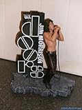 McFarlane Toys Rock n' Roll The Doors Action Figure Jim Morrison