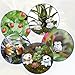 Paxcoo 87 Pcs Miniature Ornaments Kit Set with 1 Pcs Tweezer for DIY Fairy Garden Dollhouse Decor