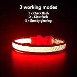 YFbrite Light Up Dog Collar Rechargeable LED Red Large view 6