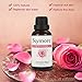 Skymore Body Massage Oil Rose, 100% Pure & Natural Ingredients, Essential Oils for Therapeutic Massaging---Anti-Aging, Relaxation, Moisturizing, Hydrating and Romance