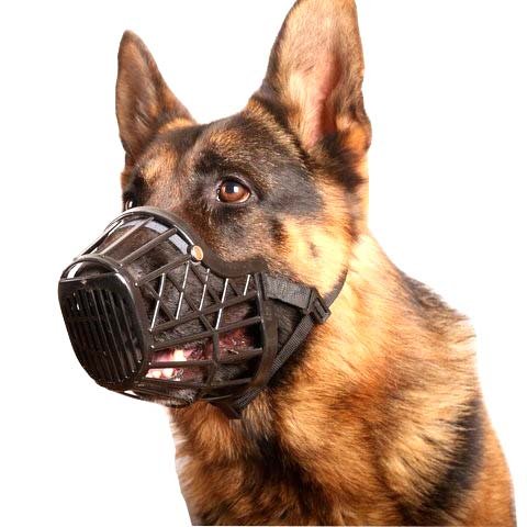 Basket Cage Dog Muzzle Size 5 - LARGE - Adjustable Straps - BLACK, by Downtown Pet Supply