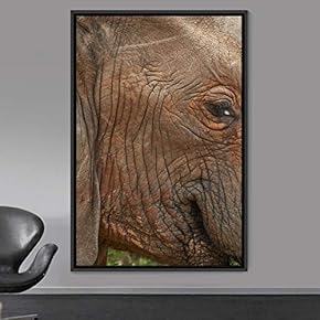 signwin Framed Canvas Wall Art Elephants Animals Dramatic...