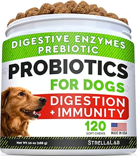 Dog Probiotics Treats for Picky Eaters - Digestive Enzymes + Prebiotics ...