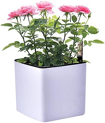 GeLive Self Watering Planter, Modern Decorative Succulent Plant Pot, Elegant Window Box, Indoor Garden, White