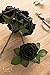 Ling's moment Artificial Flowers 50Pcs Black Roses Decor w/Stems,3