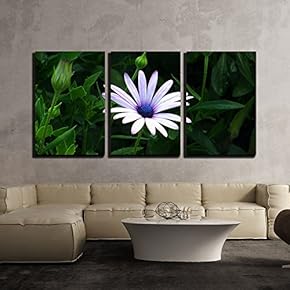 3 Piece Canvas Wall Art - Closeup of Flower Petal - Modern Home Art Stretched and Framed Ready to Hang - 16"x24"x3 Panels