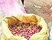 Paradise Mountain Organic Coffee, Thailand Peaberry, USDA Certified Organic, Direct Trade, Whole Bean Coffee 16oz