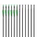 ANTSIR 30 Fiberglass Archery Target Arrows- Practice Arrows for Kids Youth or Begineers on Recurve Bow Long Bow Traditional Bow (Green Vanes Pack of 12)