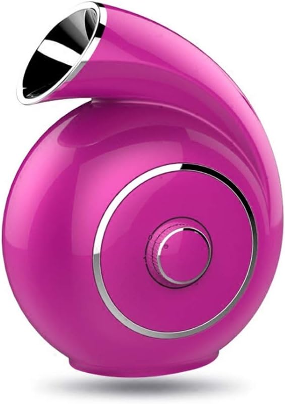 LYXC Facial Steamer Beauty Hydrating Instrument Steaming Face Nano Spray Water Meter Steaming Machine Hot Spray Machine Beauty To Help Open Pores And Remove Dirt Home New Steam Face Meter