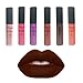 Silvercell Long Lasting Waterproof Lip Liquid Pencil Matte Lipstick Lip Gloss