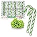 Accoutrements Novelty Christmas Candy Cane Gag Gift - Wasabi Flavor - 6 Per Box