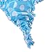 CHICTRY Men's Stain Ruffle Frilly Low Rise Thong Underwear Sissy Pouch Crossdres Panties (Large(Waist:29.0-56.5