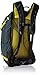 Osprey Hikelite 26 Hiking Backpack