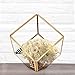 HOMEIDEAS Modern Gloden Geometric Terrarium Metal Faceted Tabletop Succulent Plants Holder Glass Air Plant Holder(Golden), Gift Mother's Day