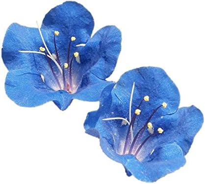 California Bluebell Blue Color Native Wildflower #305 (1600 Seeds, or 1 gram)