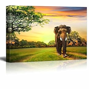 Canvas Prints Wall Art - Elephant on Sunset | Modern Wall Decor/Home Art Stretched Gallery Canvas Wraps Giclee Print & Ready to Hang - 12" x 18"