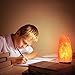 PULNDA Himalayan Salt Lamp PULNDA Glow Natural Hand Carved Rock Salt Lamp with Neem Wood Base/Bulb and Dimmer Control, Crystal, Amber, 8-9-Inch for Lighting, Decoration and Air Purifying