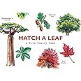 Amazon.com: Match a Leaf A Tree Memory Game:A Tree Memory Game ...