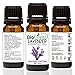 BioFinest Lavender Oil - 100% Pure Lavender Essential Oil - Therapeutic Grade - Bulgaria Premium Quality - Best For Aromatherapy, Diffuser, Massage, Anxiety & Stress Relief - FREE E-Book (10ml)
