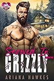 Snowed In With the Grizzly: A shifter insta-love