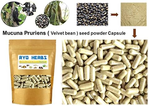 400 Capsules of 100% natural Mucuna Pruriens seeds powder Capsules 400mg. ( Velvet bean seed in Capsules ) Herbal Herb benefits Sex brain L-DOPA