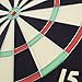 TG Champion Tournament Bristle Dartboard (Multicolor, 18 x 1.5-Inch)