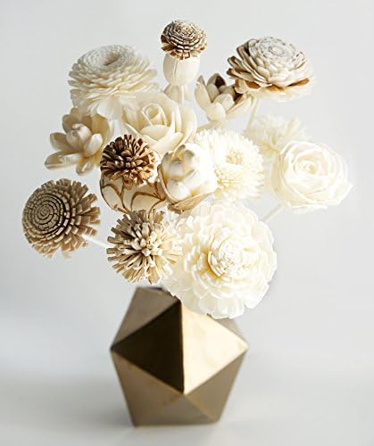 Plawanature Set of 12 Mixed Sola Wood Flower with Reed Diffuser for Home Fragrance Aroma Oil, Beige, 5x20 - Image 3