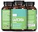 95% HCA Garcinia Cambogia Extract Weight Loss Pills for Men & Women - Fat Burn Supplement Carb Blocker Appetite Suppressant Metabolism Boost - Pure Garcinia Cambogia with Chromium