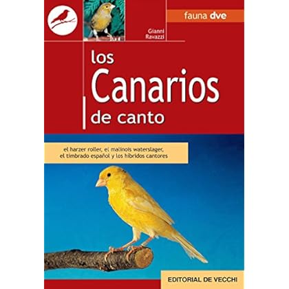 Los canarios de canto Los canarios de canto
