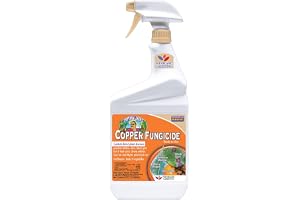 Bonide Captain Jack's Copper Fungicide, 32 oz Ready-to-Use Spray for Organic Gardening, Controls Common Diseases