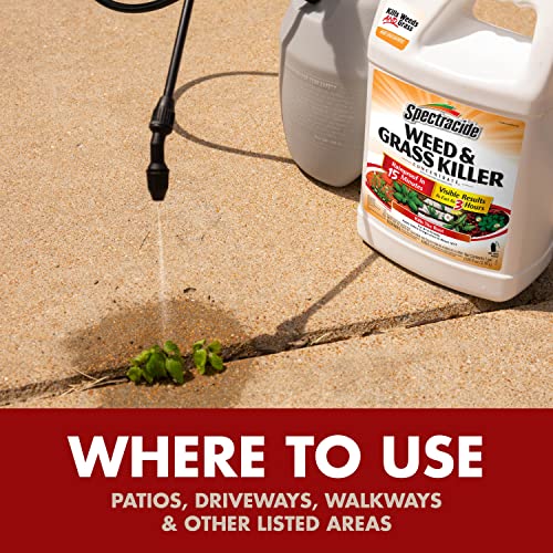 Spectracide Weed And Grass Killer Concentrate 1 Gallon, Use On Patios