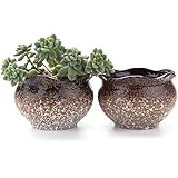 T4U 4"Snowflakes Glaze Flower shape Sucuulent Cactus Plant Pots Flower Pots Planters Containers Window Boxes Brown 1 pack of 2