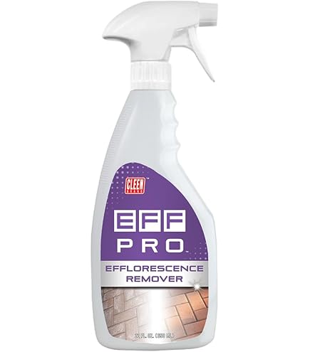 Cleen Products Eff-Pro Efflorescence Remover for Concrete, Brick