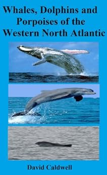 Whales Dolphins And Porpoises Of The Western North
