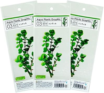 Amazon 水草シール3枚セット 03 ロタラ インディカ みずものコム 人工水草 通販