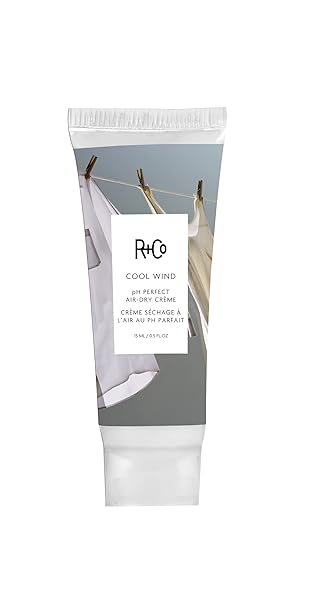 R+CO COOL WIND PH PERFECT AIR DRY CREME DELUXE | AIR DRY STYLER TAMES FRIZZ + HYDRATES | VEGAN + CRUELTY-FREE | 0.5 OZ