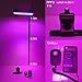 ACKE 300 LED Grow Light Full Spectrum Plant Light for Indoor Plants Green House Hydroponics Herb Veg Seedlings and Flower