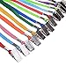 Wisdompro Lanyard with Bulldog Clip, 30 Pack of 17 inch Flat Nylon Neck Lanyard for ID Badges, Name Tags, ID Card Holder - 10 Assorted Colors