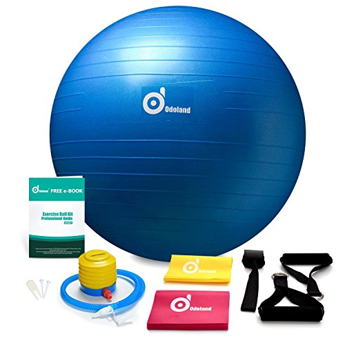 2000lbs Anti-Burst Exercise Stability Ball with 2 Sets Resistance Loop Bands,Pack w/ Pump/Door Anchor and Handles for Yogo,Fitness,Rehabilitation Workout