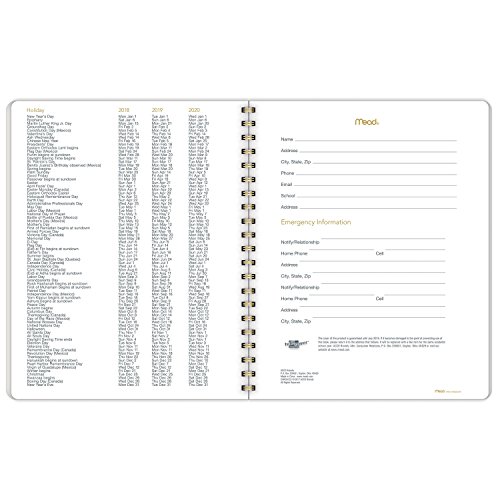 Mead 2018-2019 Academic Year Student Weekly & Monthly Planner, Large, 8-1/2 x 11, Modern Chic, Geo (CAW507D2)