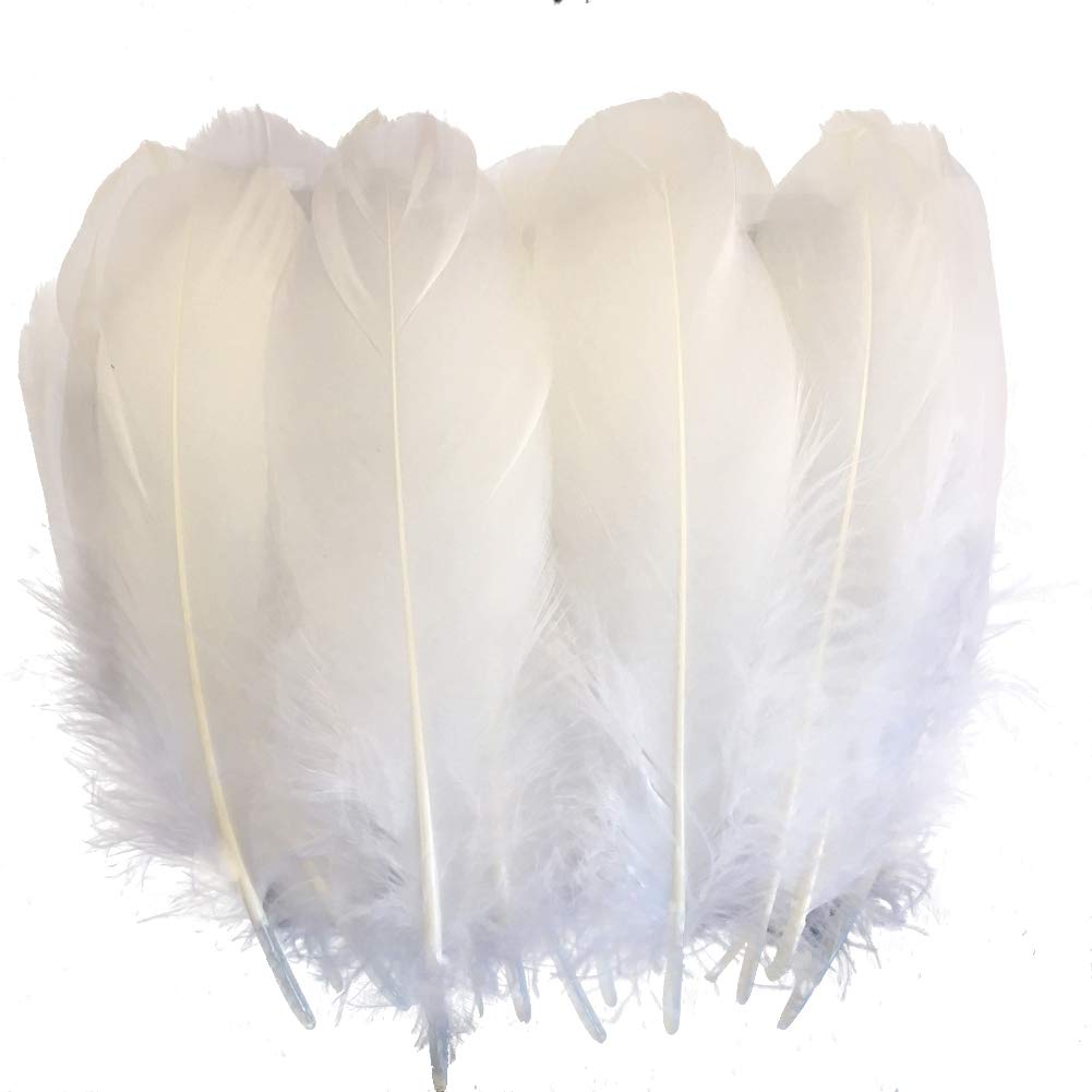 Sowder Natural Goose Feathers Clothing Accessories Pack of 100(White)