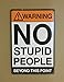 Warning No Stupid People Beyond This Point Metal Sign - Cool Things for your Home, Garage Gifts, Man Cave Decor, Bar, Pub, Game Room Decor, Workshop, Office, Bedroom Retro Vintage Size: 8x12 Inches