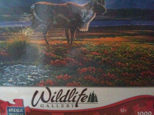 Wildlife Gallery "Forgotten Fence Line"